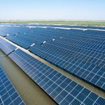 World Wetlands Day | Trina Solar unleashes solar power to safeguard human well-being