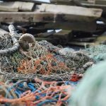 Pahang MMEA detains Vietnamese fishing vessel with 250 kg catch, valuing around RM1.7m near Tioman