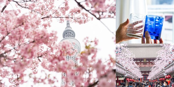 Left: Every spring, the Sumida River near the TOKYO SKYTREE is adorned with cherry blossoms, making it a popular destination for tourists from both Japan and abroad. Upper right: TOKYO SKYTREE offers a special discount package called the "SKYTREE ENJOY PACK", allowing visitors to experience Edo Kiriko glass carving. Lower right: The distance between TOKYO SKYTREE and Asakusa is also not far. Left: Every spring, the Sumida River near the TOKYO SKYTREE is adorned with cherry blossoms, making it a popular destination for tourists from both Japan and abroad. Upper right: TOKYO SKYTREE offers a special discount package called the "SKYTREE ENJOY PACK", allowing visitors to experience Edo Kiriko glass carving. Lower right: The distance between TOKYO SKYTREE and Asakusa is also not far.