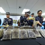 Selangor cops nab six individuals including two Thai couples, seize over 90 kg of ganja