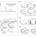 Mabwell Presented IDDC™ Platform Technology and ADC Drug Development Achievements at the 14th World ADC London