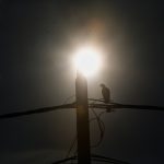 Hot, dry weather expected to subside in early April