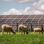 Trina Solar Powers New Zealand’s Largest Solar Farm with Integrated Module-Tracker Solution