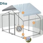 ZiDtia Launches Sturdy, Spacious Chicken Coops in the US