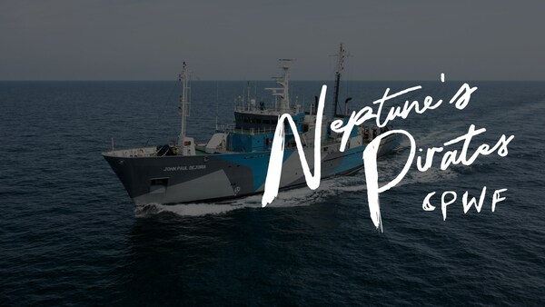 THE CAPTAIN PAUL WATSON FOUNDATION has been established to promote and further the legacy of Captain Paul Watson. To focus on the protection and conservation of the Ocean through direct intervention supported by education, documentation, research activities and partnerships with other NGOs, governments and international institutions like the United Nations.To learn more, visit the website paulwatsonfoundation.orgHelp our mission to protect the Oceans paulwatsonfoundation.org/donate THE CAPTAIN PAUL WATSON FOUNDATION has been established to promote and further the legacy of Captain Paul Watson. To focus on the protection and conservation of the Ocean through direct intervention supported by education, documentation, research activities and partnerships with other NGOs, governments and international institutions like the United Nations.To learn more, visit the website paulwatsonfoundation.orgHelp our mission to protect the Oceans paulwatsonfoundation.org/donate