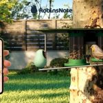GPT-4 Powered All-In-One Smart Bird Feeder by RobinsNote to Launch on Kickstarter