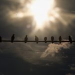 Be vigilant to prevent heat stroke during Aidilfitri