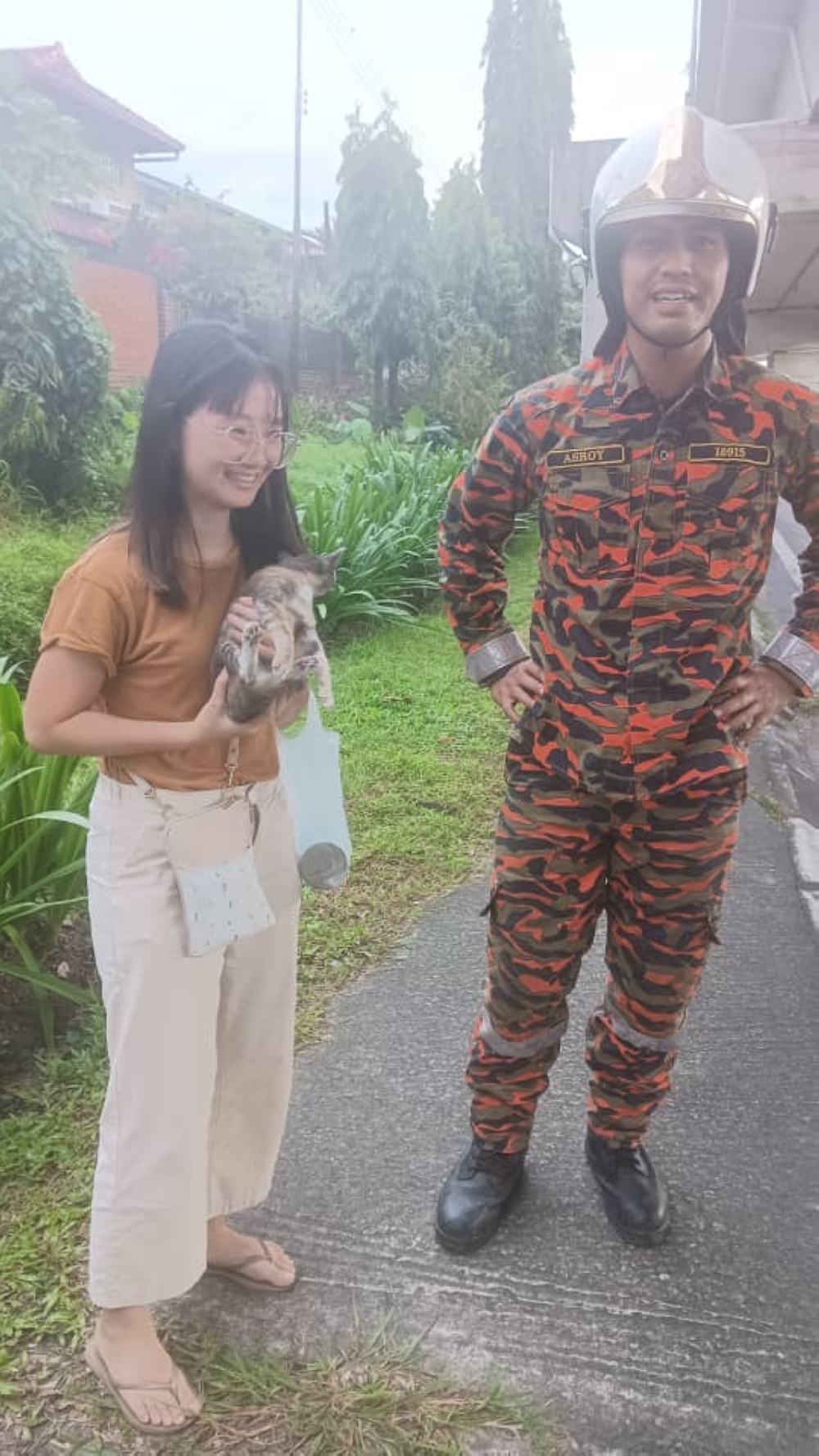 Firefighters save cat stranded 10 metres high under Luyang flyover