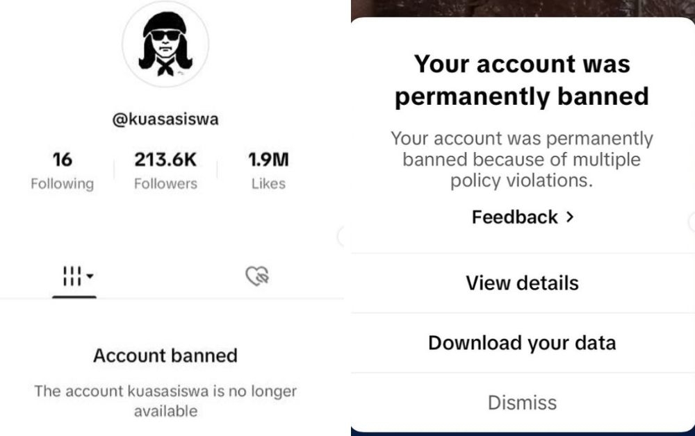 Activist and graphic artist Fahmi Reza questions TikTok Malaysia after permanent account ban during university livestream