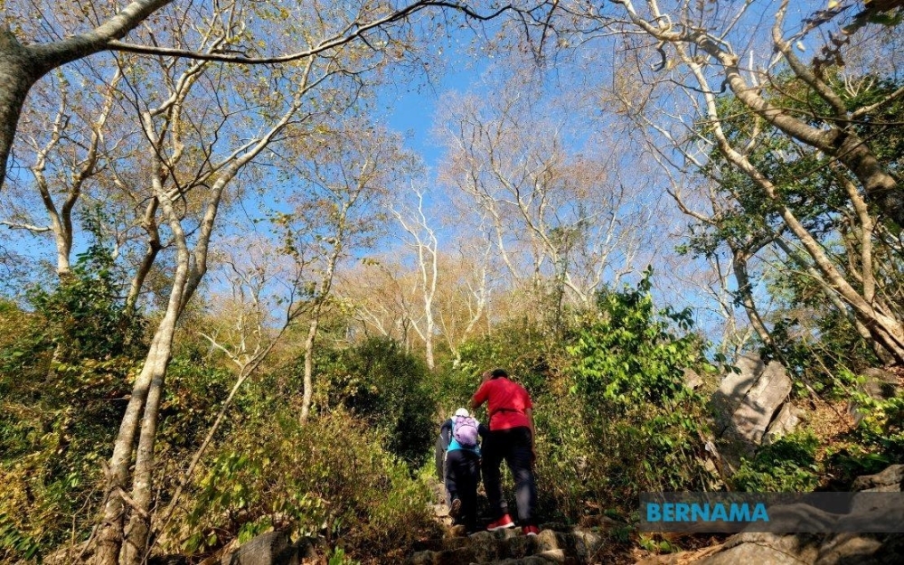 Man found dead atop Gunung Keriang after solo climb, say Kedah police