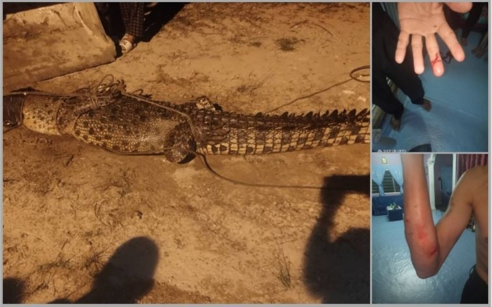 Crocodile attacks man casting net in Setiu lake