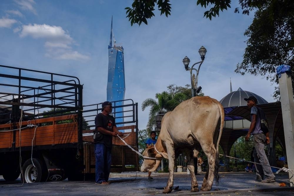 How online platforms are transforming Korban rites for Muslim Malaysians