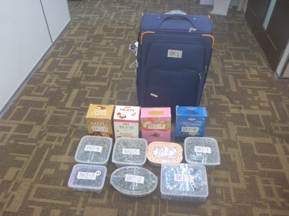 AKPS nabs Indian national trying to smuggle 2,500 turtles through KLIA