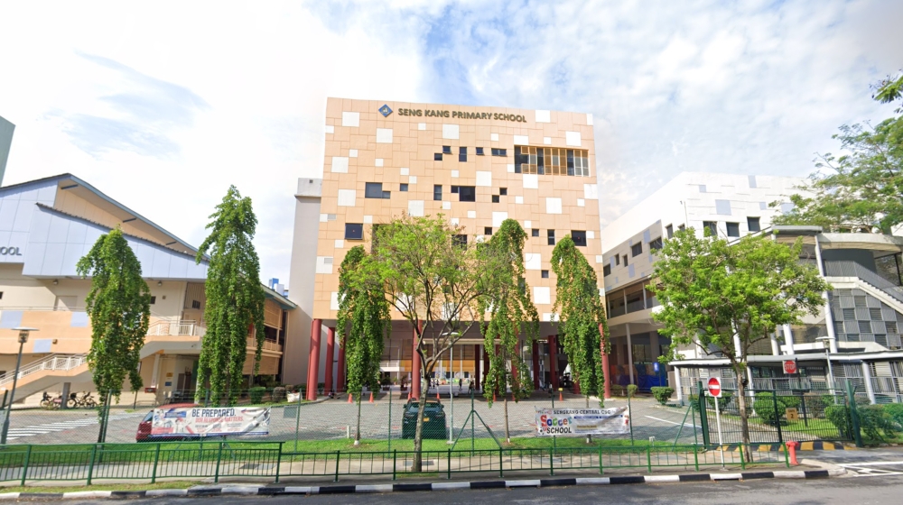 Three Singapore Primary 3 students suspended over threats to ‘dissect’ classmate’s mum who reported bullying