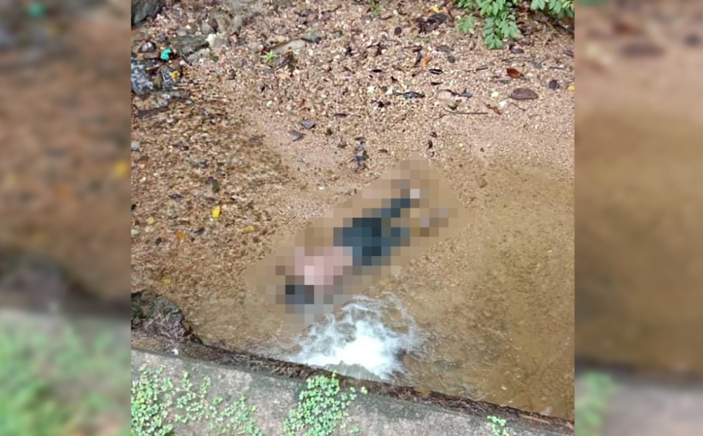 Gerik police launch probe after body found in stream with no ID near TNB facility