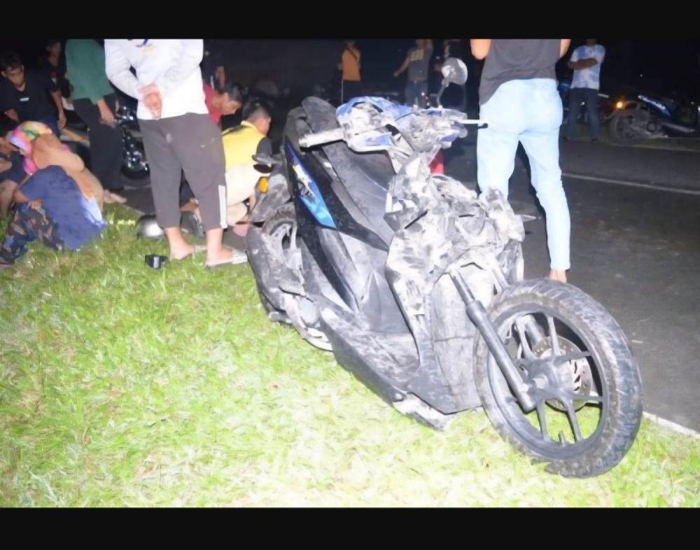 Woman motorcyclist dies in Kuala Terengganu after crashing into buffalo