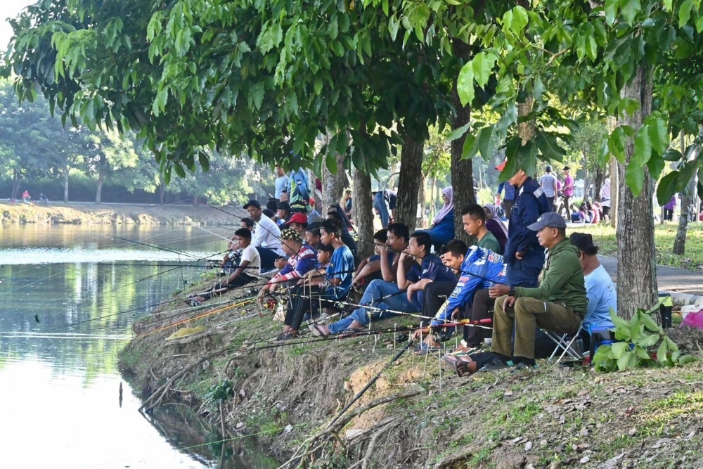 Penang Fisheries Dept warns against releasing foreign fish into public waterways