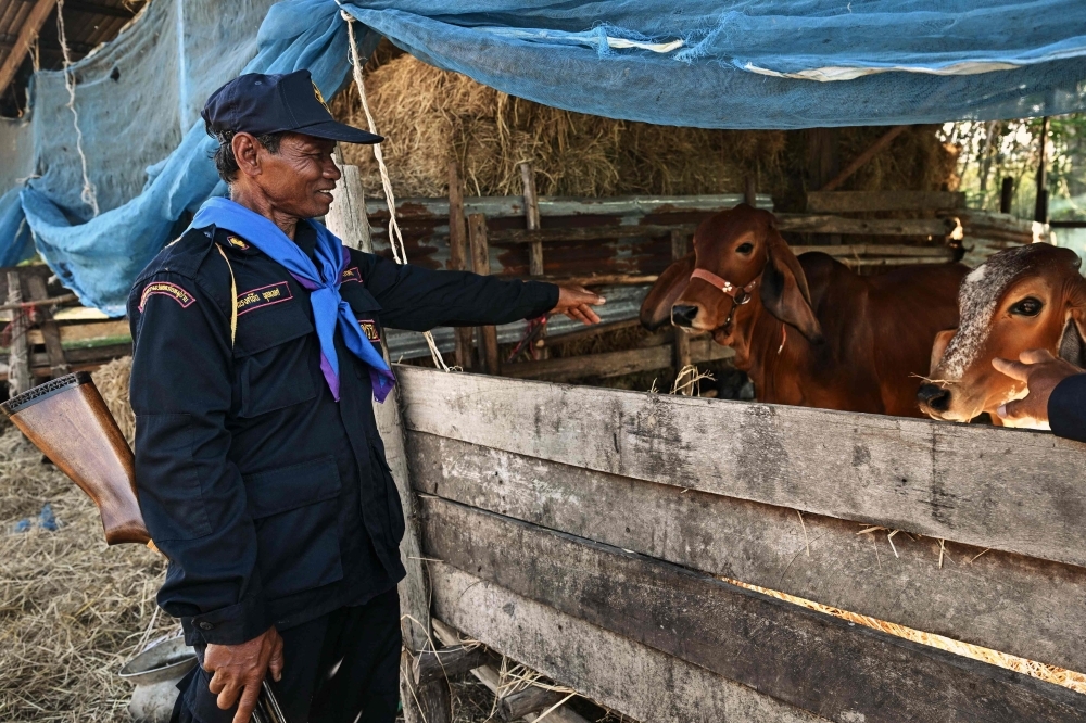 ‘We do it with a volunteer’s heart’: Thai farmers turn frontline amid deadly border clashes with Cambodia