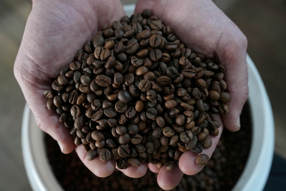 Vietnam’s coffee pride shaken as police investigate fake blends made from soybeans