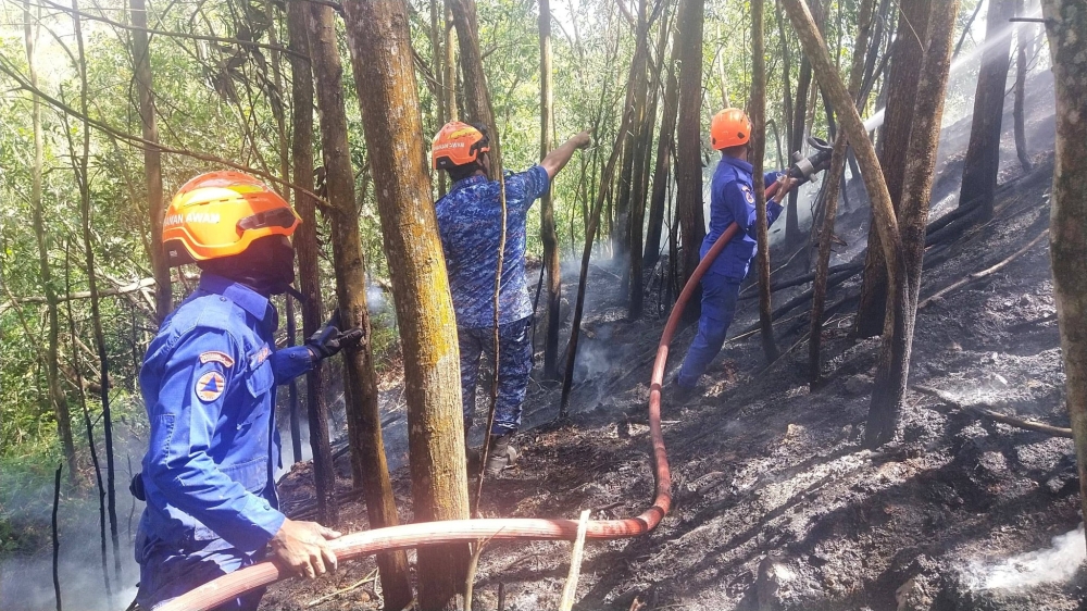 Selangor battles multiple forest fires, including 17-ha blaze in Sepang