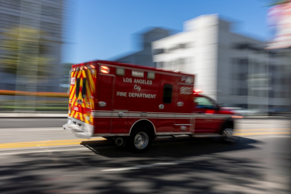 Nearly 700 dogs and cats rescued from overcrowded California shelter in possible US record operation
