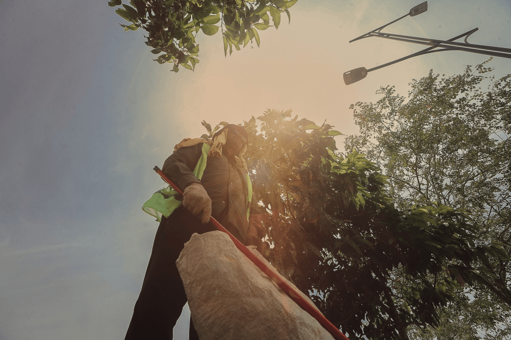 MetMalaysia: Perlis, four Kedah districts hit Level 2 heatwave, 16 areas at Level 1