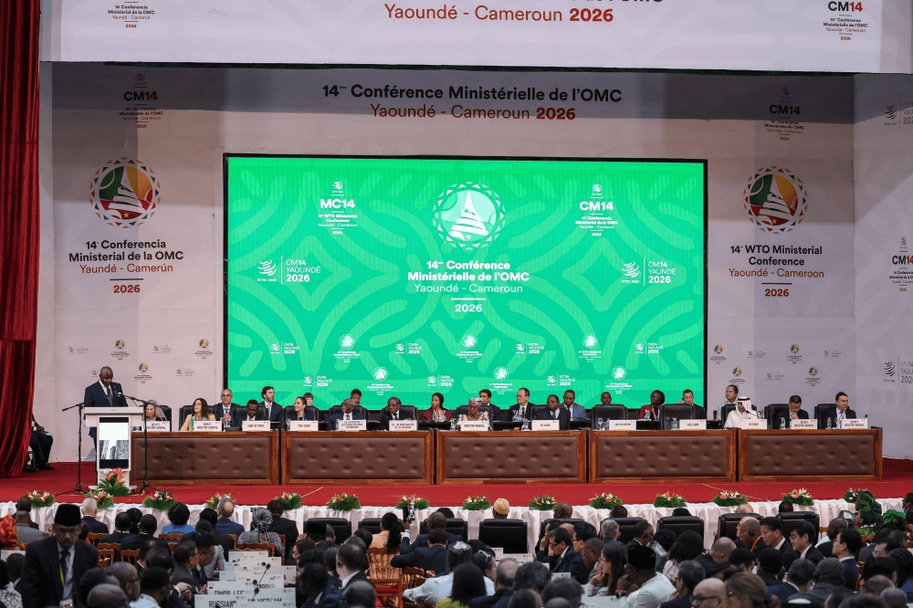 WTO reform talks near crunch as US stance draws ‘outright bullying’ claims