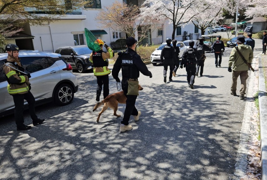 Escaped wolf prompts school closure in South Korea