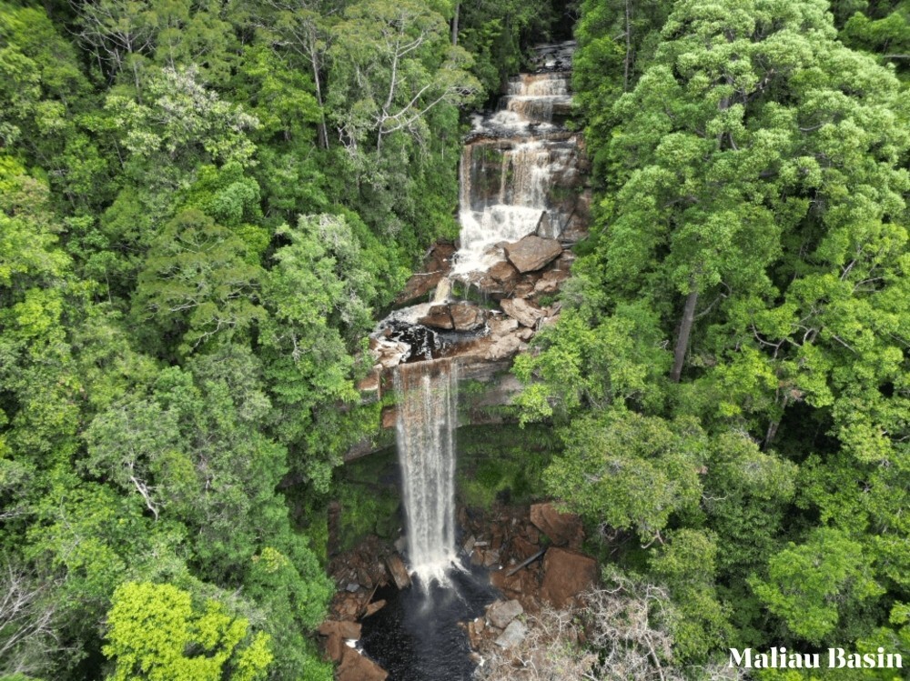 New report confirms Sabah as carbon-negative state, opens door to climate cash