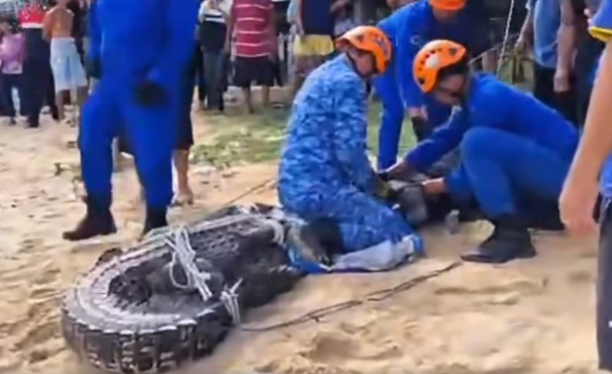 Over 20 villagers band together to capture 300kg crocodile in KK near Sabah Legislative House