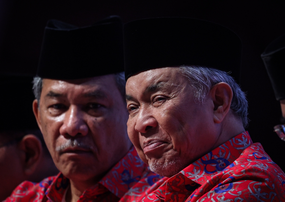 Zahid’s Umno balances solo ambition with alliance flexibility for GE16