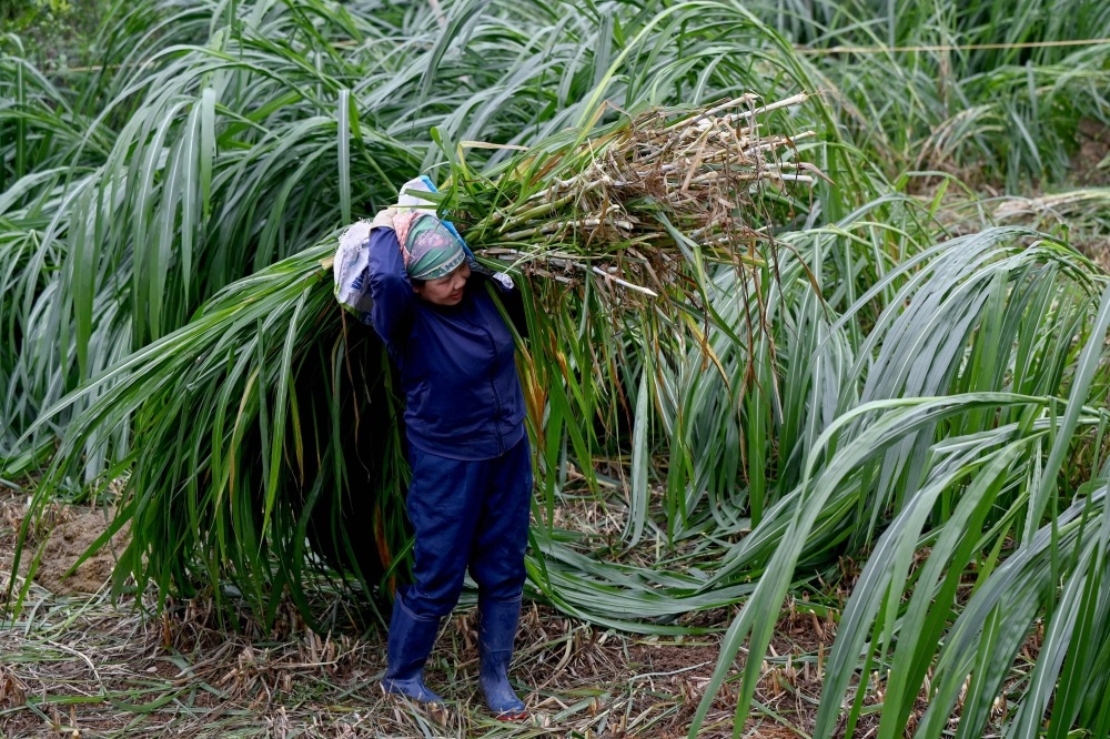 Vietnam’s inflation accelerates in April, trade deficit widens as West Asia crisis lingers