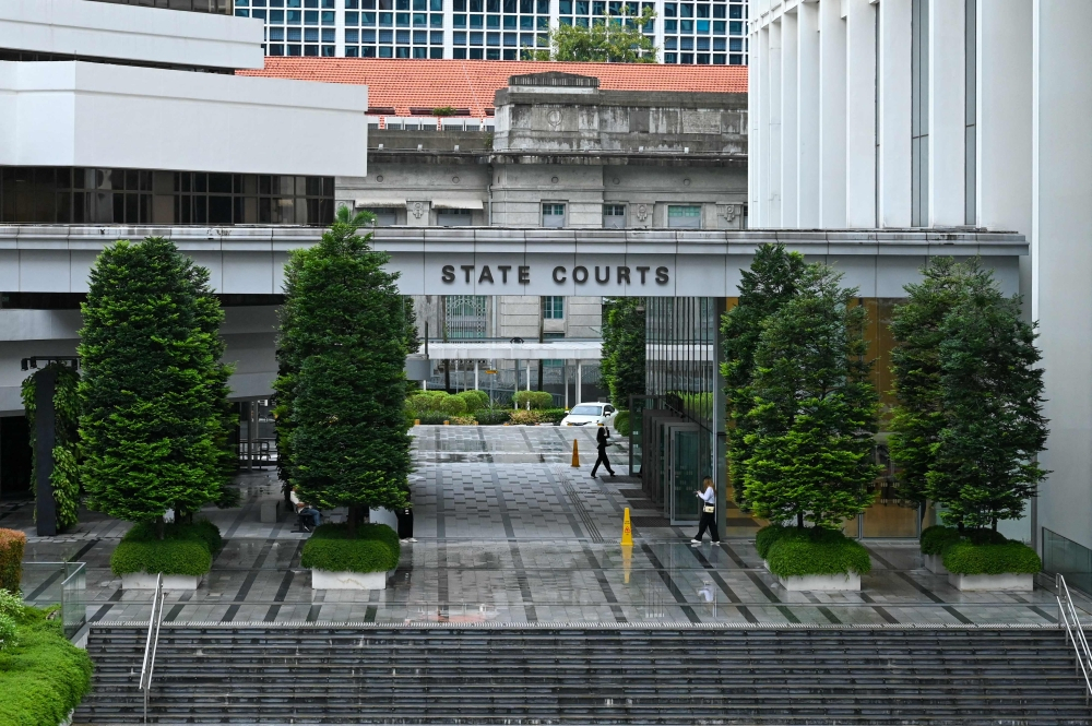 Singapore man and woman charged after 71 cats allegedly found neglected in Bukit Panjang HDB flat