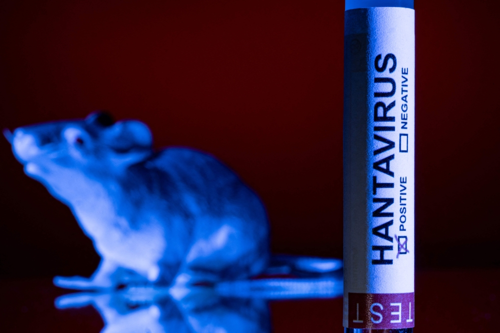 Rodent hunt begins in Argentina’s remote Tierra del Fuego to probe hantavirus risk