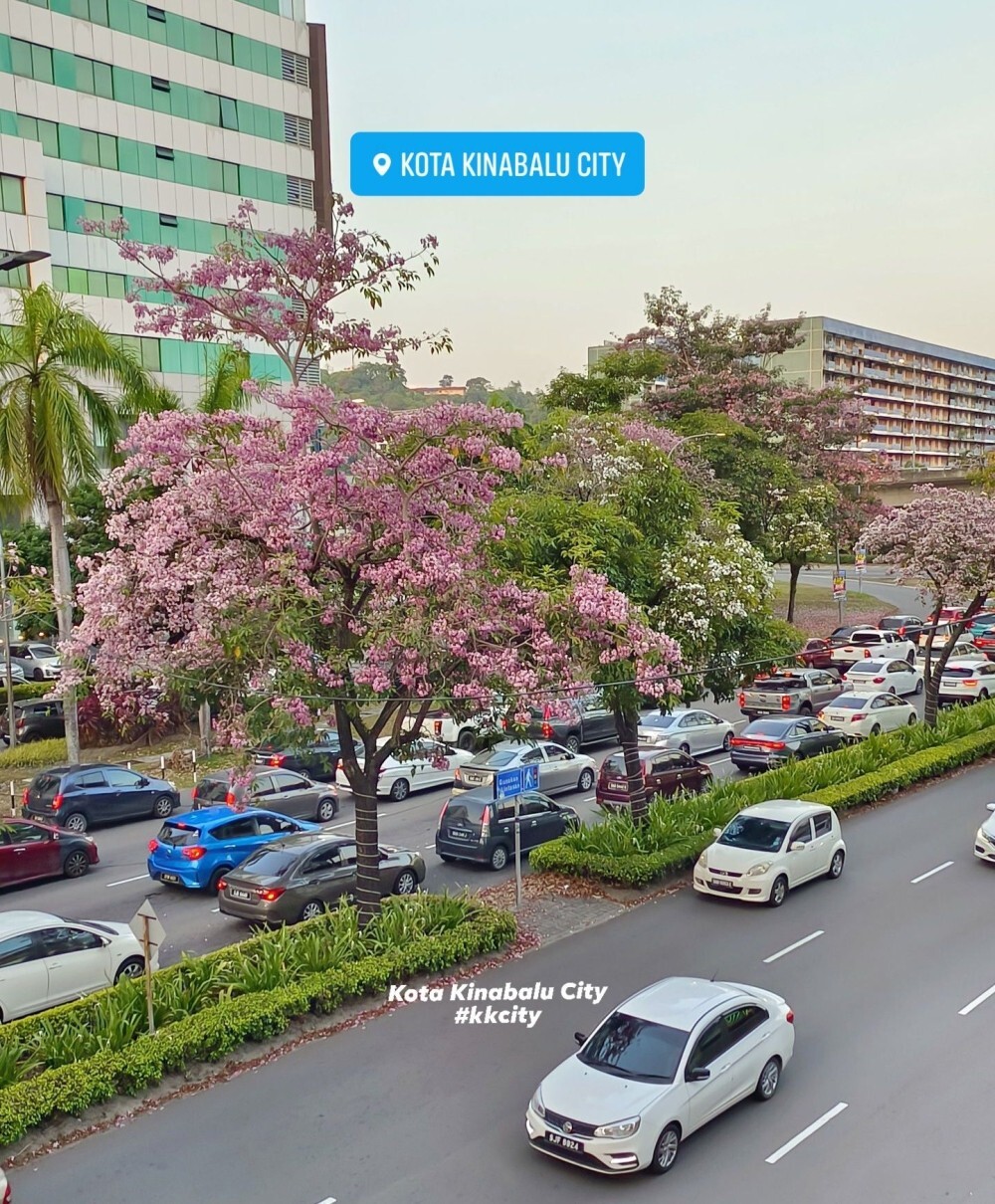 New routes along Pan Borneo highway to open from July, easing traffic around Kota Kinabalu