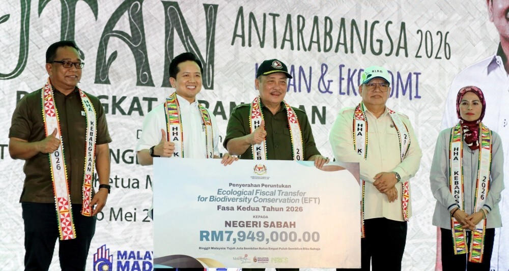 Sabah maps out 25-year forest plan, pledges to retain 50pc forest cover