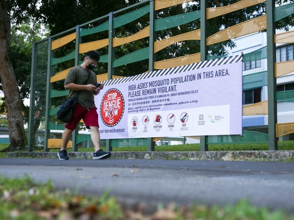Singapore dengue cases hit 2026 high as city-state enters peak mosquito season