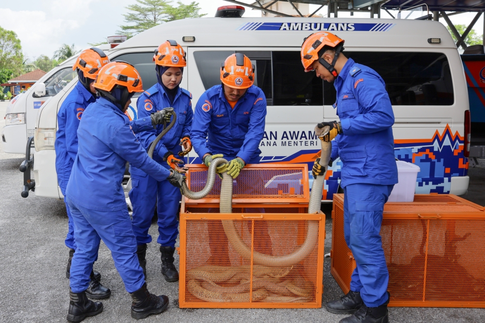 Civil Defence Force vows safety review after trained sergeant dies from cobra bite