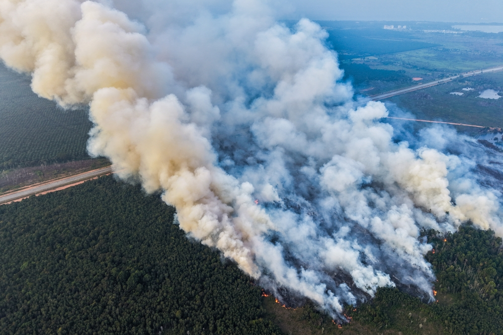 Hot weather and strong winds complicate firefighting as 51‑hectare Kota Tinggi peat blaze rages
