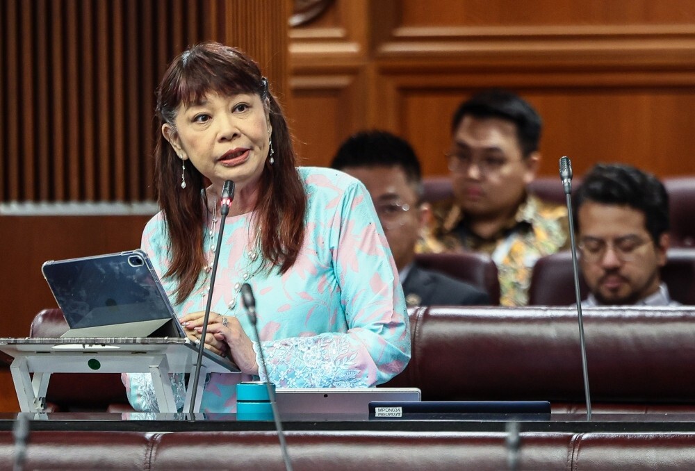 Deputy minister says Social Work Council coming once new Act officially takes effect