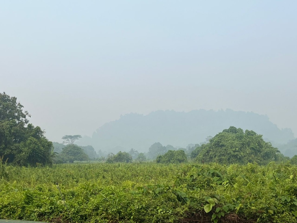 Serian haze eases slightly, but API remains hazardous at 390 at 7am; Kuching, Tebedu, Lundu remain at very unhealthy levels