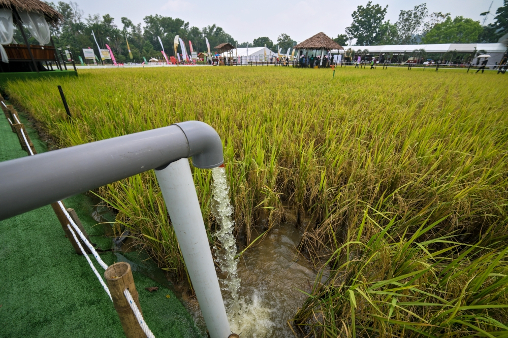National farmers’ group cleans house, shuts nine subsidiaries as scrutiny grows over Malaysian farm support