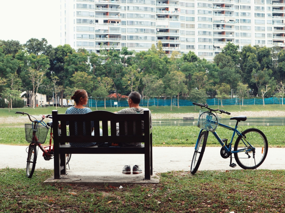 Singapore gets bigger as foreign workers drive population growth, and much older