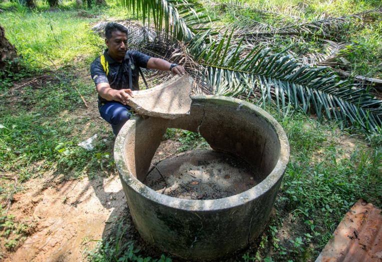 Perak Perhilitan monitoring elephant herd after crop destruction complaints