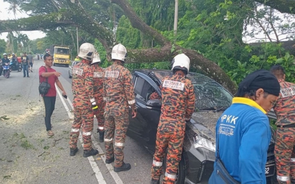 Motorist escapes injury after tree branch falls on car in Ipoh