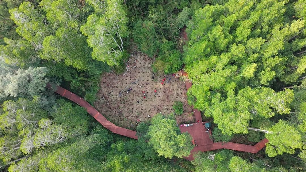 Perak shuts all hiking trails in forest reserves from Nov 2 to Jan 17 due to monsoon season