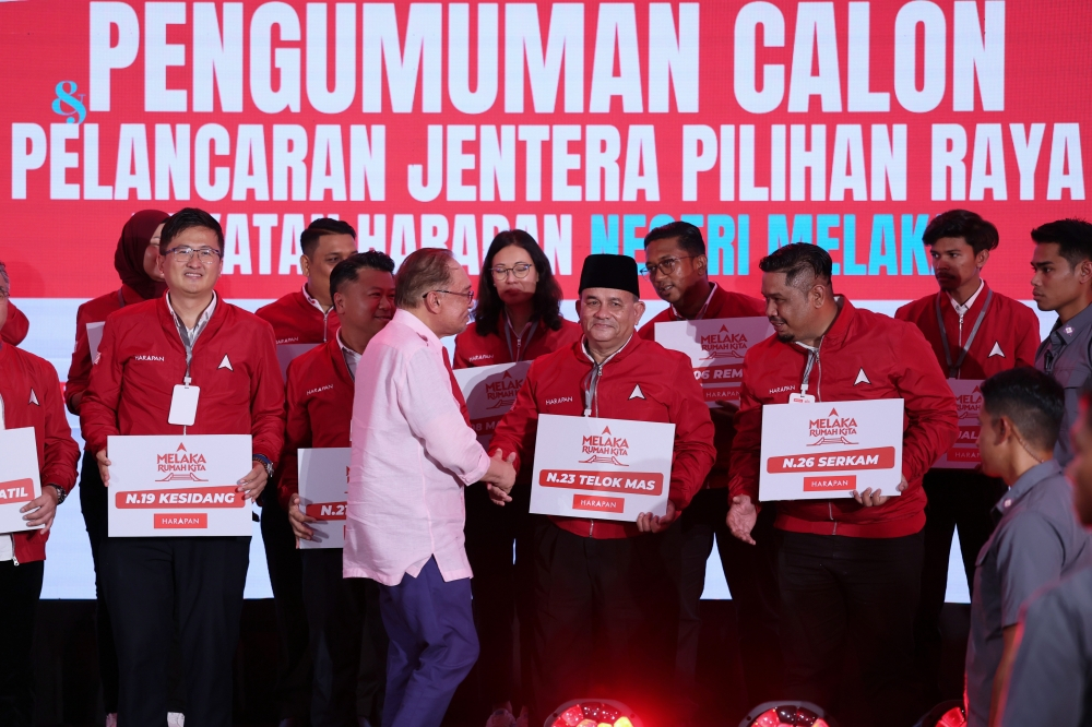 Melaka state polls: PKR’s 30pc women candidates offer voters a more inclusive choice, says Fadhlina